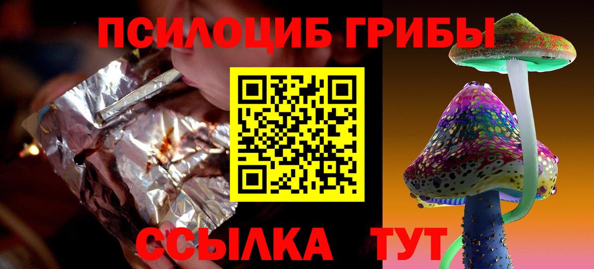 Пушкино  Псилоцибиновые грибы Psilocybine cubensis  Вход с VPN 