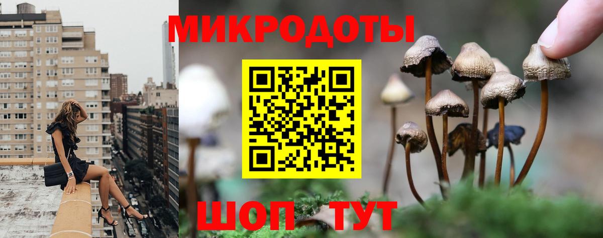 Галлюциногенные грибы GOLDEN TEACHER Пушкино